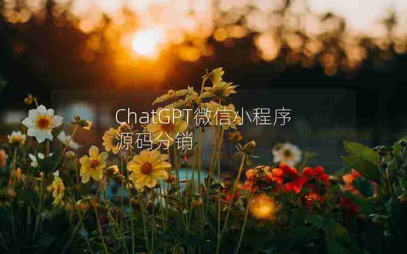 ChatGPT微信小程序源码分销