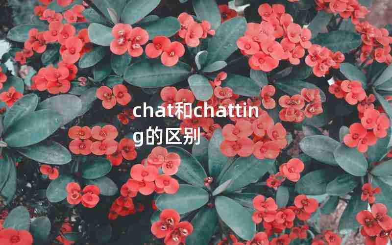 chat和chatting的区别