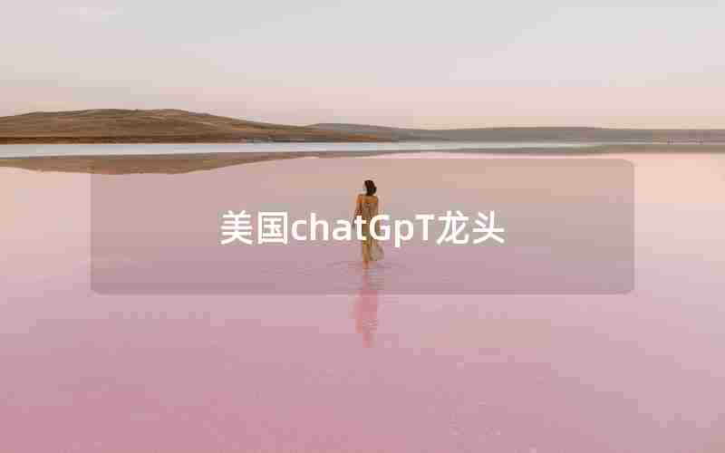 美国chatGpT龙头