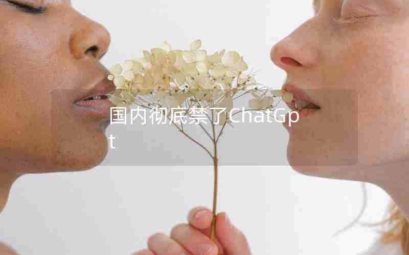 国内彻底禁了ChatGpt