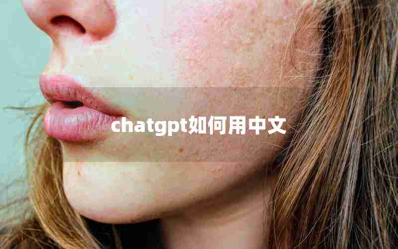 chatgpt如何用中文