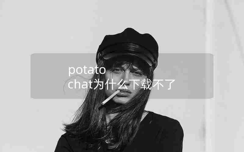 potato chat为什么下载不了