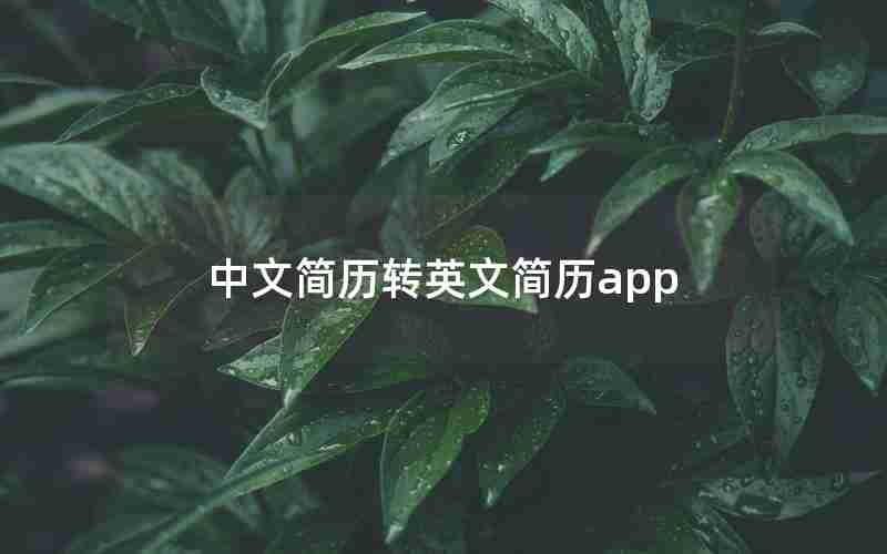 中文简历转英文简历app