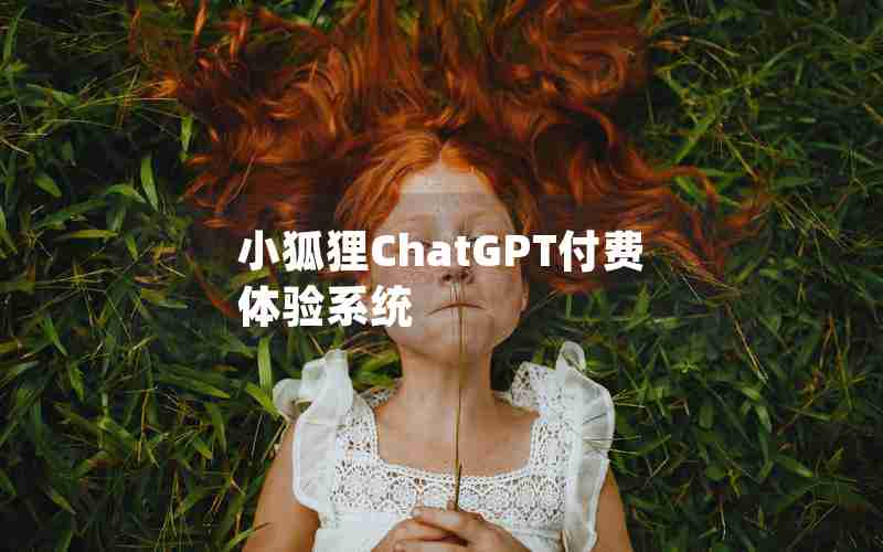 小狐狸ChatGPT付费体验系统