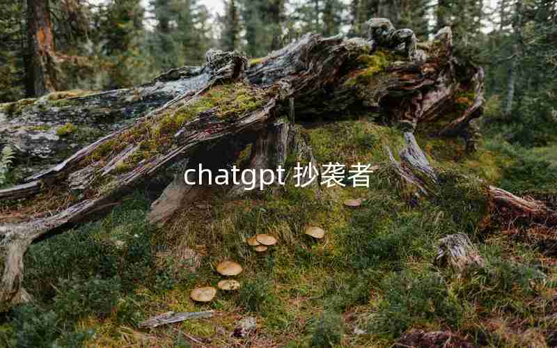 chatgpt 抄袭者(抄袭率怎么查)