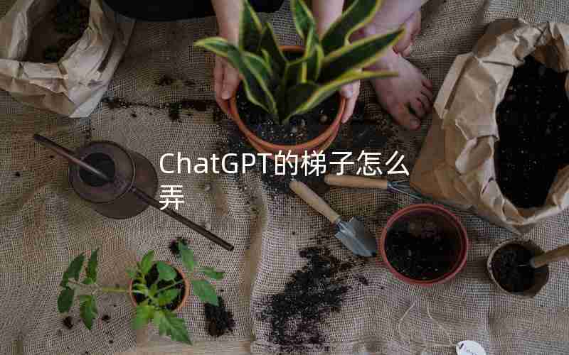 ChatGPT的梯子怎么弄