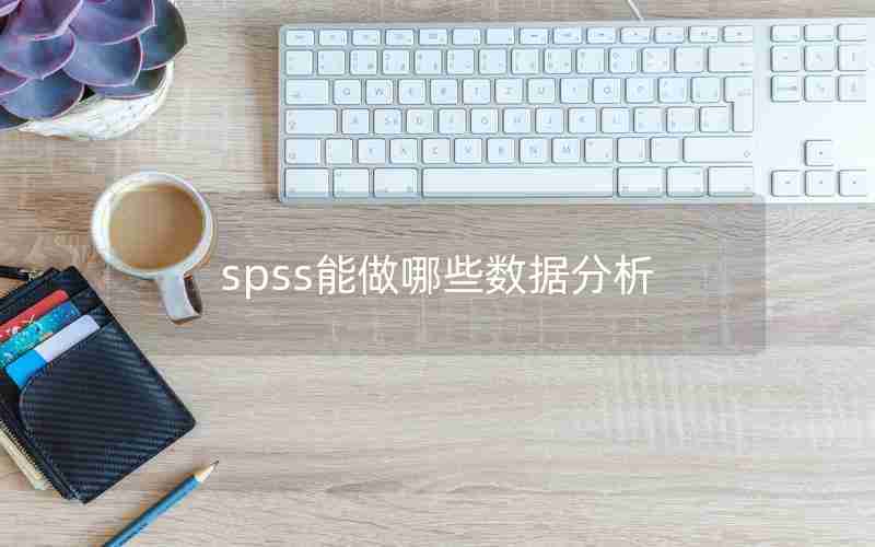 spss能做哪些数据分析