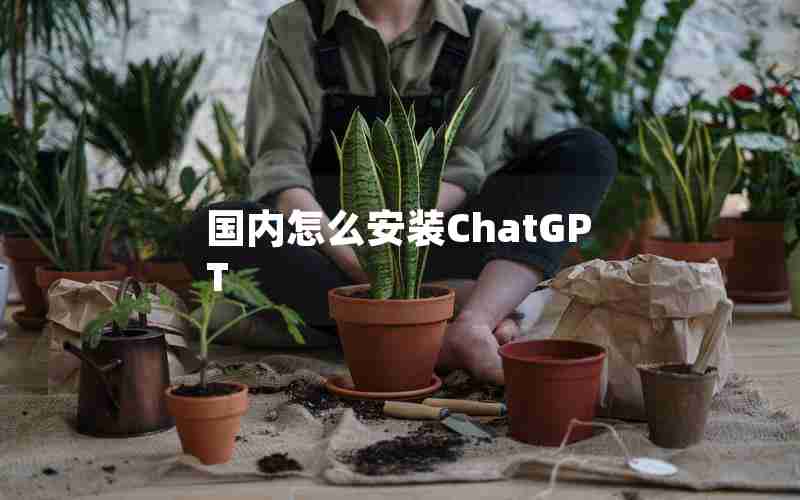 国内怎么安装ChatGPT