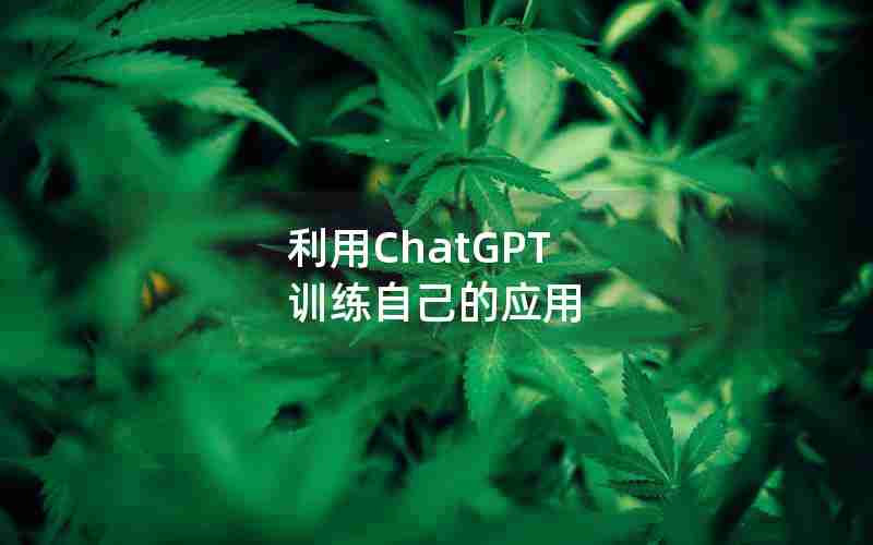 利用ChatGPT 训练自己的应用