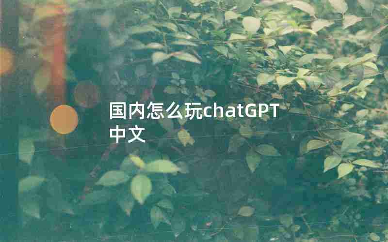 国内怎么玩chatGPT中文