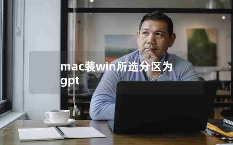 mac装win所选分区为gpt