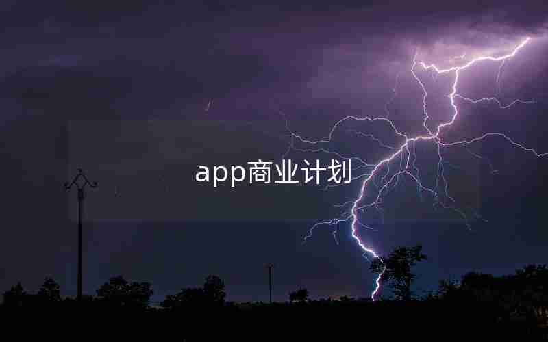 app商业计划