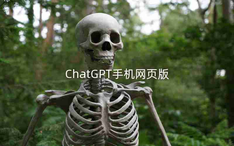 ChatGPT手机网页版